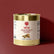 Concentrated Poultry Paella Broth 3000g